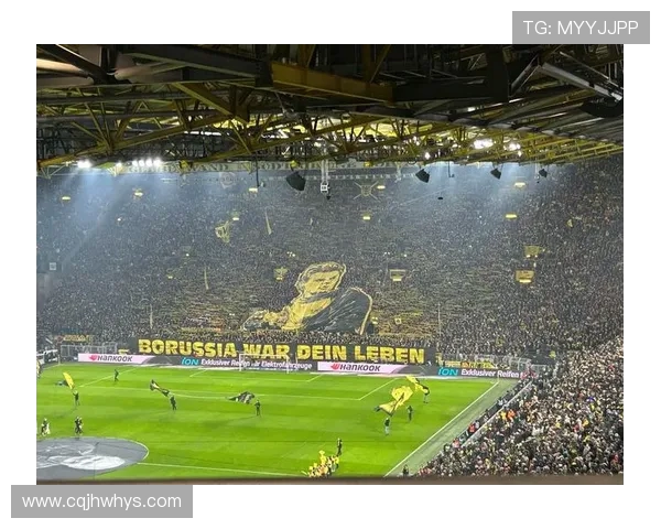 每支德甲球队的战术特点与核心优势分析