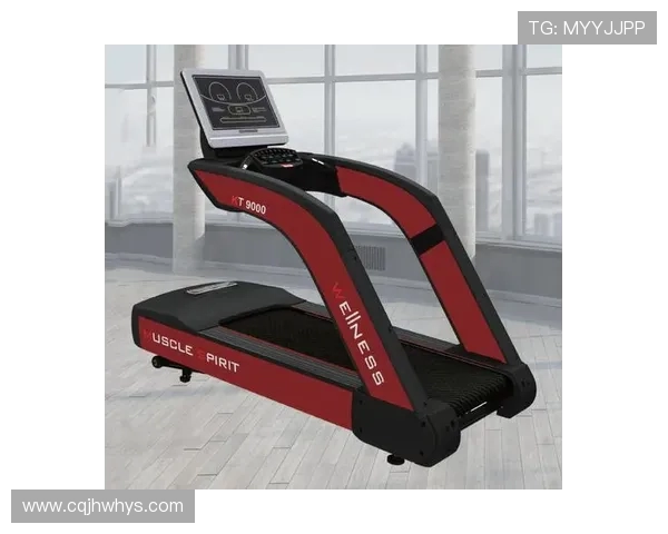 迈宝赫健身器材价格分析：如何选择性价比高的器材？