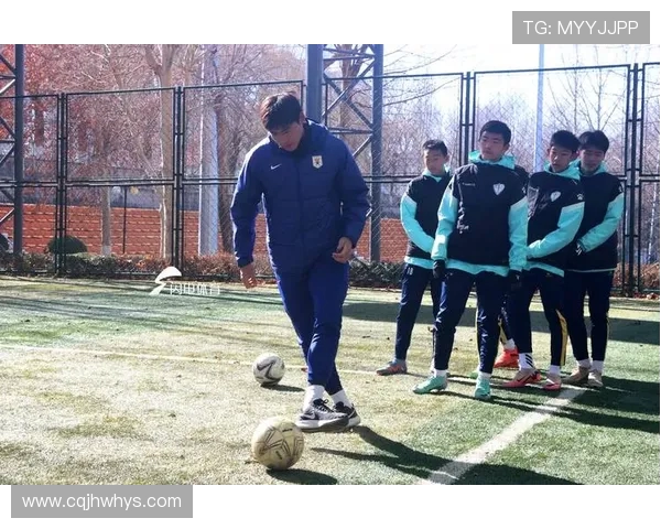 青少年足球训练中隔离带的分区管理与安全优化