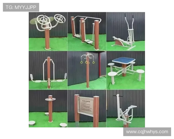 高端健身器材品牌定义专业健身新标准 高端健身器材品牌定义专业健身新标准